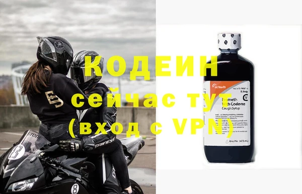 индика Абаза