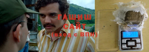 индика Абаза