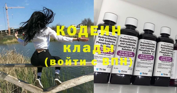 индика Абаза
