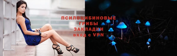 индика Абаза