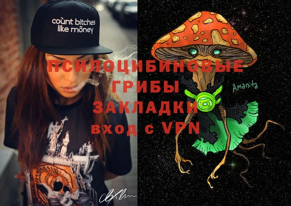 индика Абаза