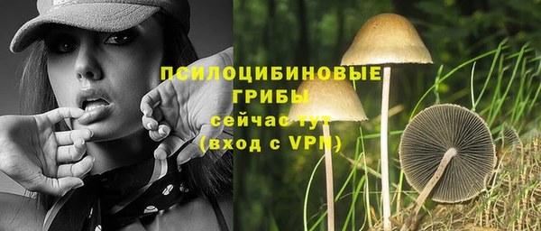 ALPHA-PVP Абинск