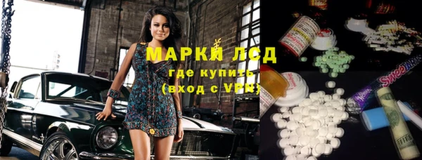 индика Абаза