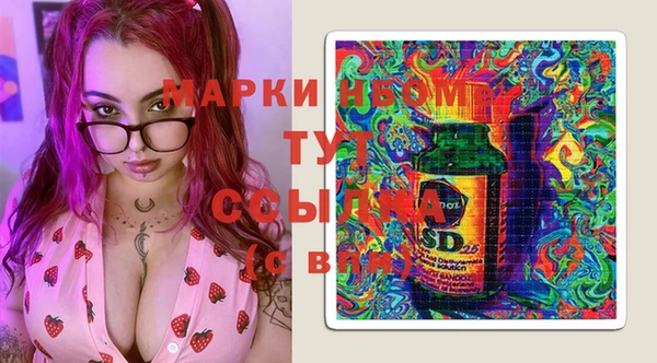 индика Абаза