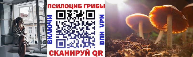 Галлюциногенные грибы Psilocybine cubensis  Циолковский 